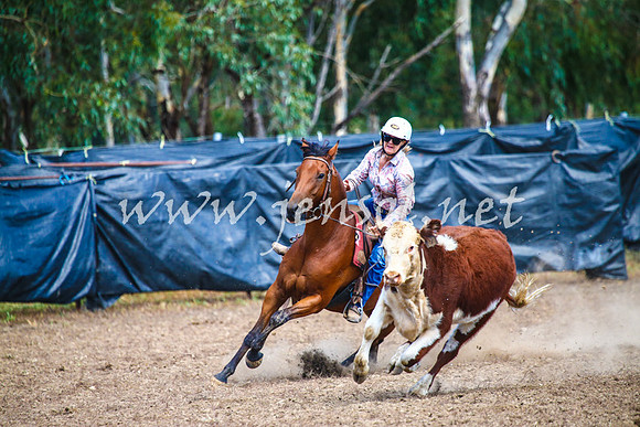 GundagaiCampdraft2017_0170