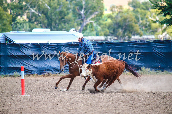 GundagaiCampdraft2017_0175