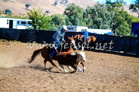 GundagaiCampdraft2017_0044
