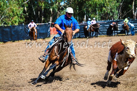 GundagaiCampdraft2017_0140