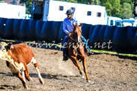 GundagaiCampdraft2017_0029