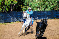 GundagaiCampdraft2017_0009