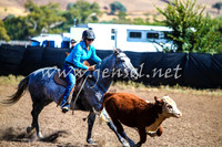 GundagaiCampdraft2017_0099
