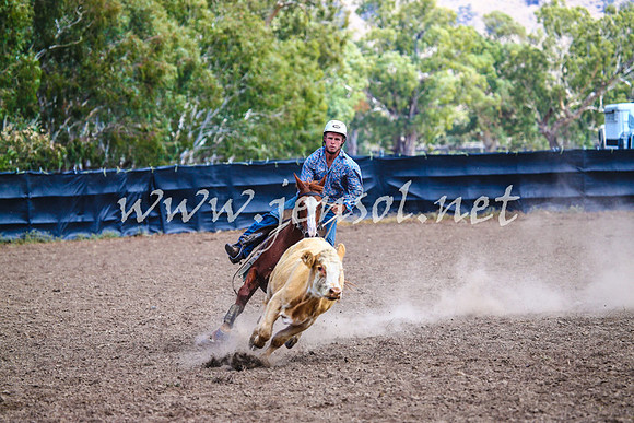 GundagaiCampdraft2017_0180