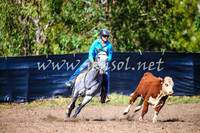 GundagaiCampdraft2017_0095