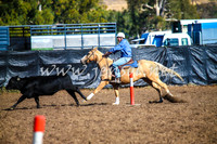 GundagaiCampdraft2017_0012