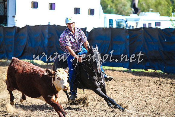 GundagaiCampdraft2017_0120