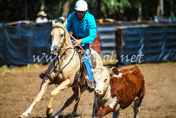 GundagaiCampdraft2017_0129