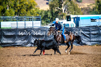 GundagaiCampdraft2017_0023