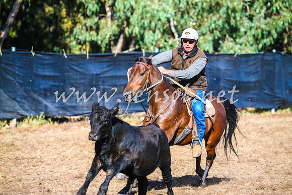 GundagaiCampdraft2017_0003