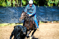 GundagaiCampdraft2017_0021