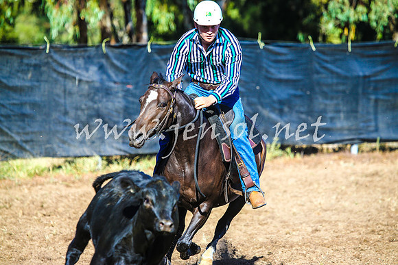 GundagaiCampdraft2017_0021