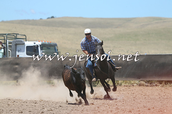 AdaminabyCampdraft2014_1001