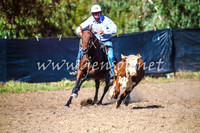 GundagaiCampdraft2017_0081