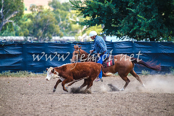 GundagaiCampdraft2017_0173