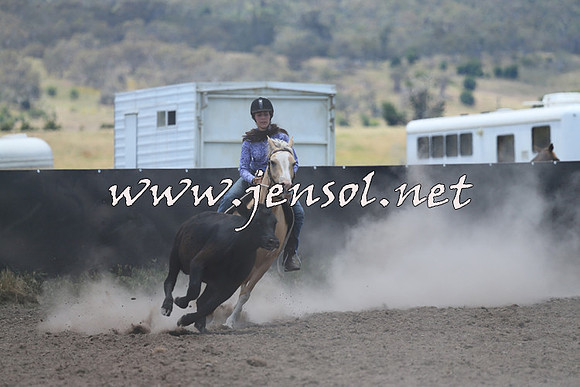 AdaminabyCampdraft2014_1021