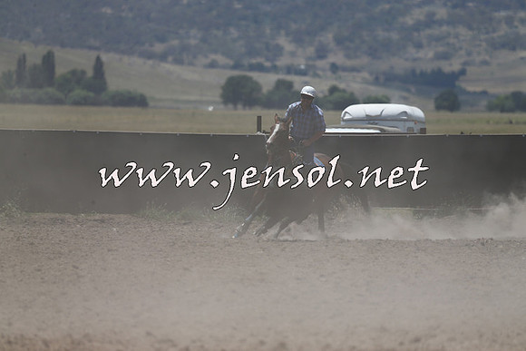 AdaminabyCampdraft2014_0994