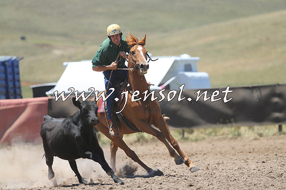 AdaminabyCampdraft2014_0975