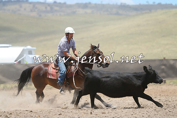 AdaminabyCampdraft2014_1027