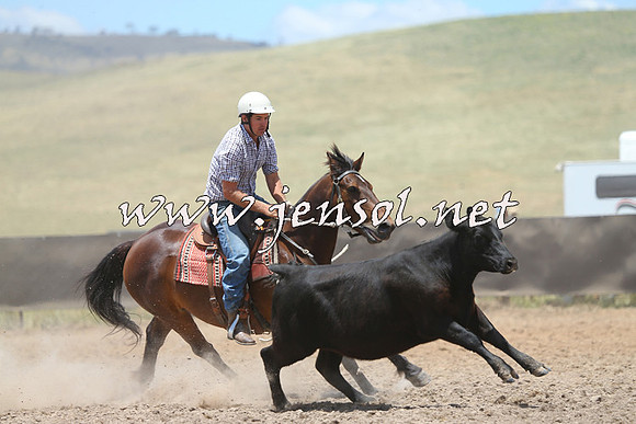 AdaminabyCampdraft2014_1024