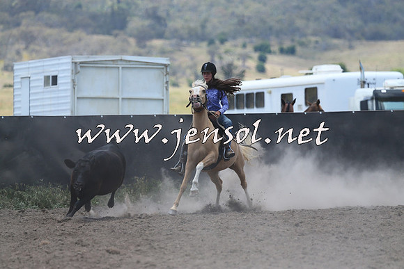 AdaminabyCampdraft2014_1015