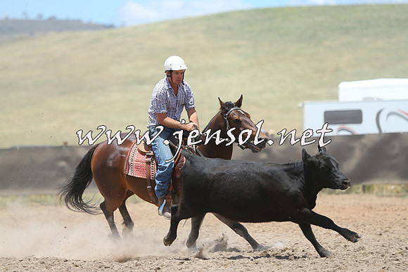 AdaminabyCampdraft2014_1023