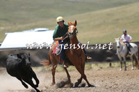 AdaminabyCampdraft2014_0974