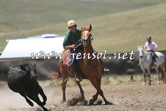 AdaminabyCampdraft2014_0974
