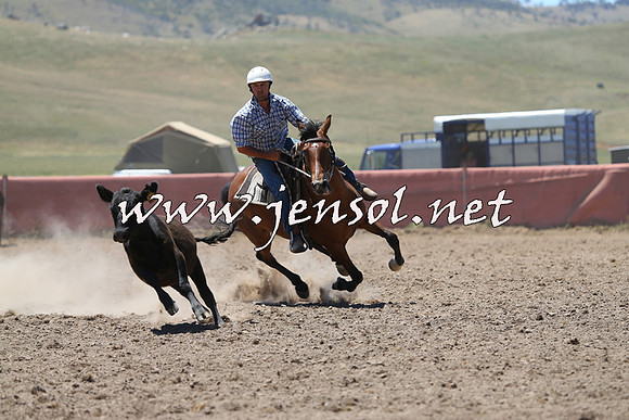 AdaminabyCampdraft2014_0956