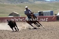 AdaminabyCampdraft2014_0957