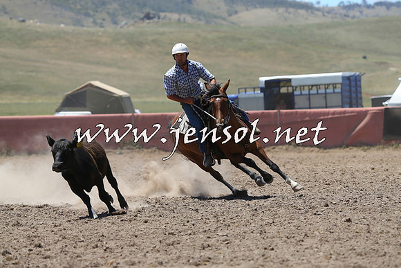 AdaminabyCampdraft2014_0957