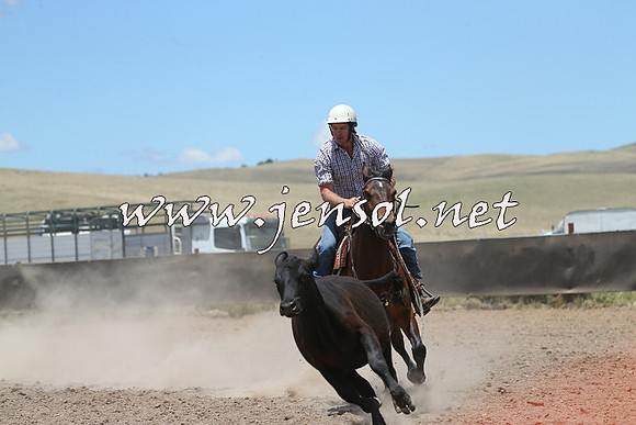 AdaminabyCampdraft2014_1031