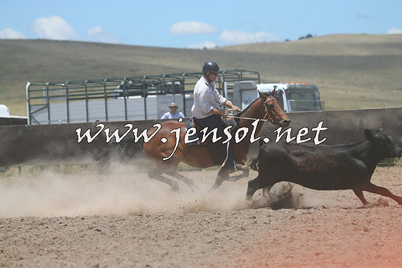 AdaminabyCampdraft2014_1006