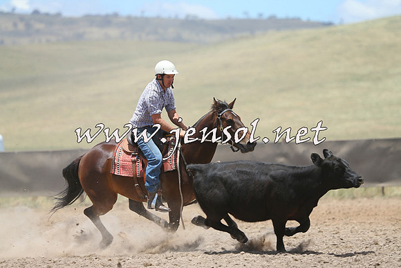 AdaminabyCampdraft2014_1026