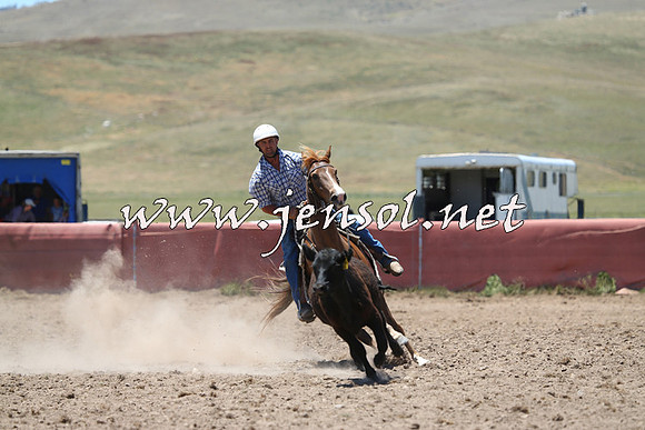 AdaminabyCampdraft2014_0982
