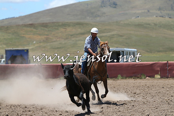 AdaminabyCampdraft2014_0981