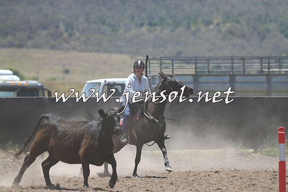 AdaminabyCampdraft2014_0996