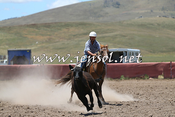 AdaminabyCampdraft2014_0979