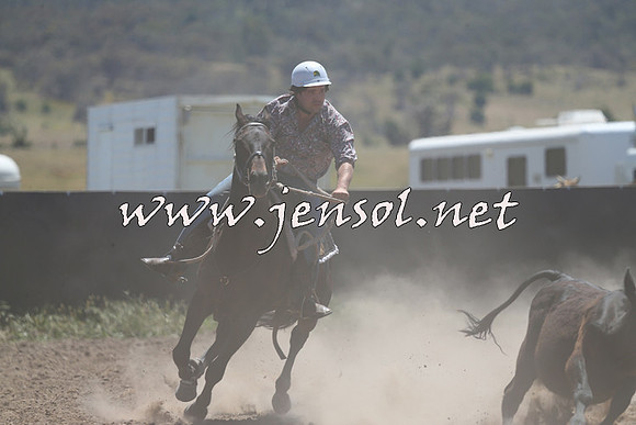 AdaminabyCampdraft2014_0946