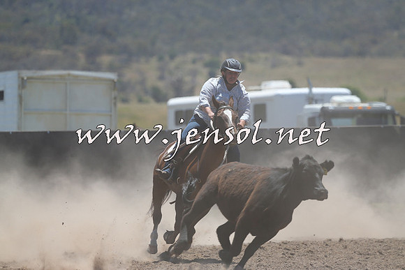 AdaminabyCampdraft2014_0962