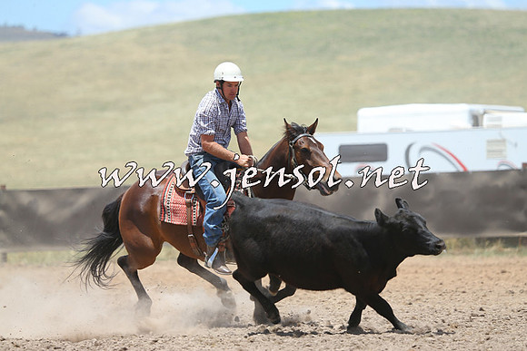 AdaminabyCampdraft2014_1022