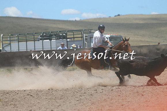 AdaminabyCampdraft2014_1007