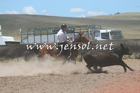 AdaminabyCampdraft2014_1005