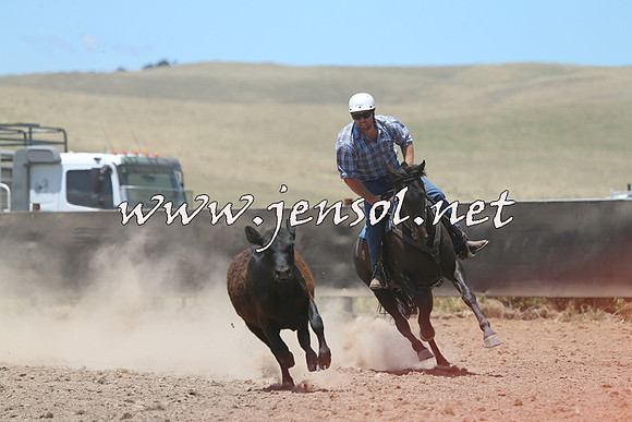AdaminabyCampdraft2014_1002