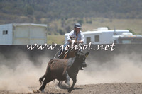 AdaminabyCampdraft2014_0961