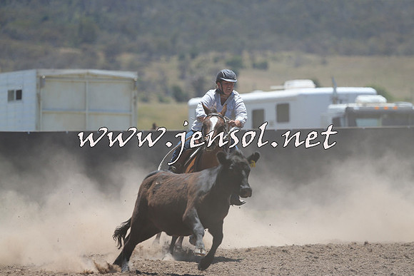AdaminabyCampdraft2014_0961