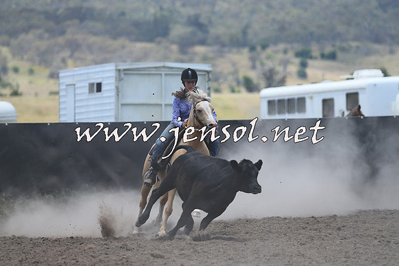 AdaminabyCampdraft2014_1016