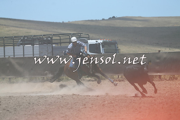 AdaminabyCampdraft2014_0987