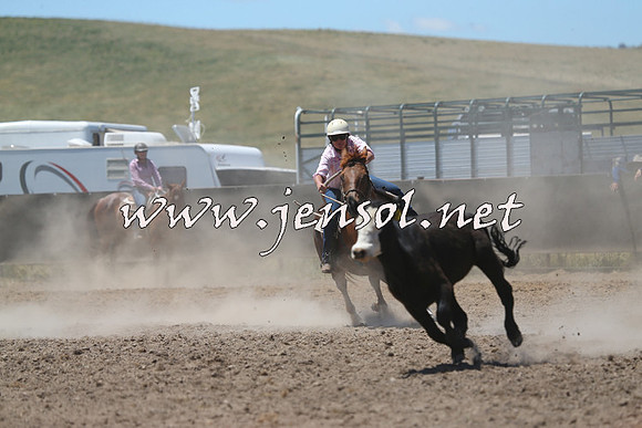 AdaminabyCampdraft2014_0959