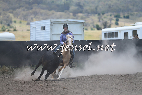 AdaminabyCampdraft2014_1019
